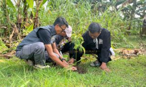 SH Terate Rayon Semanding