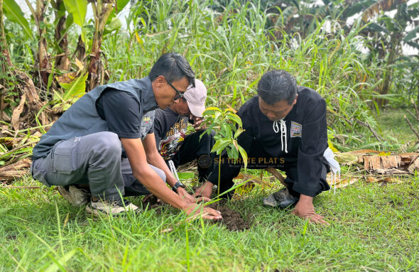 SH Terate Rayon Semanding