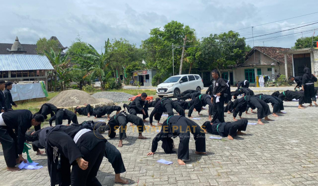 SH Terate Ranting Kapas