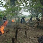 SH Terate Ranting Ngambon