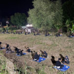 SH Terate Ranting Gondang