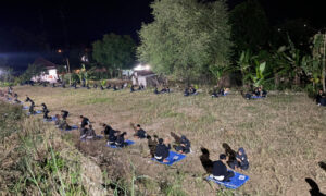 SH Terate Ranting Gondang