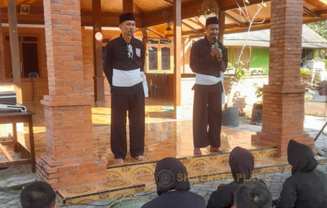 Tes ayam jago