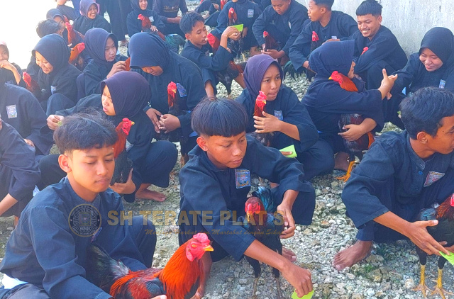 Pemeriksaan jago