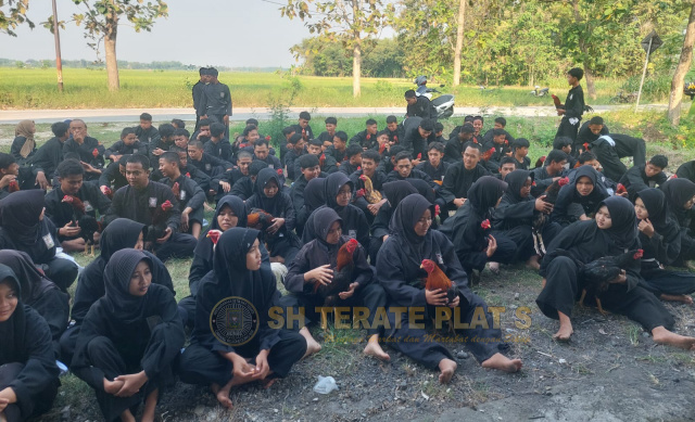 Pemeriksaan ayam jago